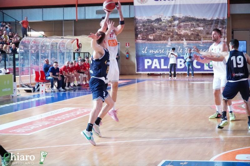 zvastobaskettermoli-33