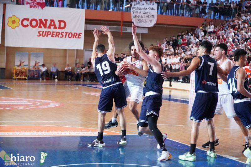 zvastobaskettermoli-34