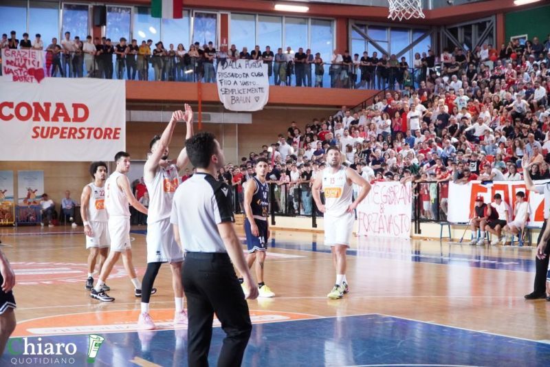 zvastobaskettermoli-38