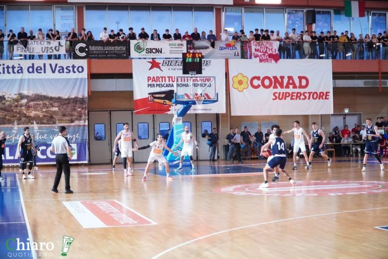 zvastobaskettermoli-40