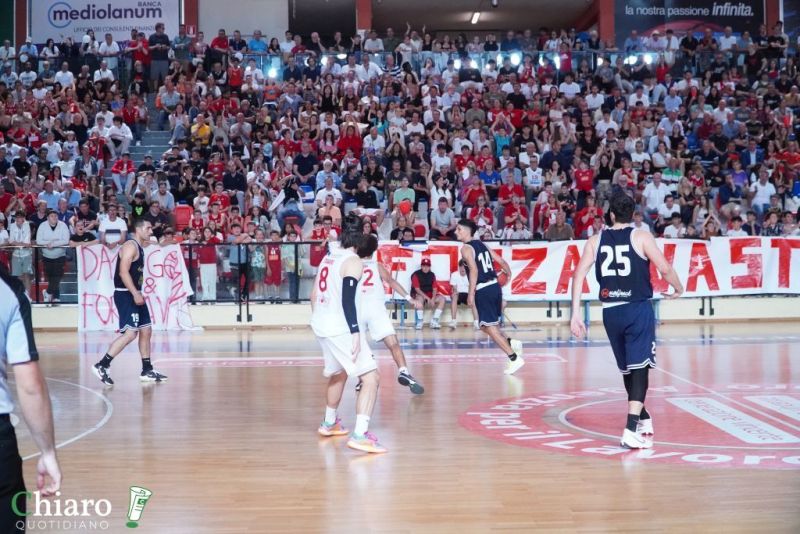 zvastobaskettermoli-43