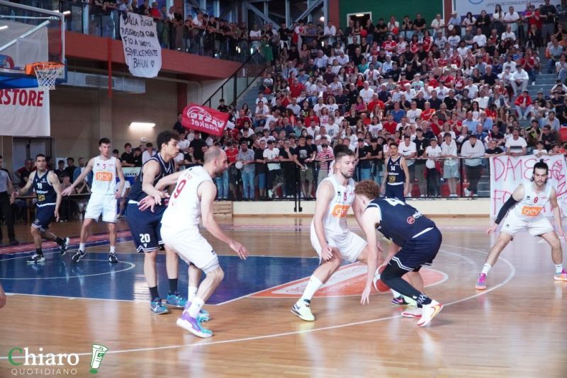 zvastobaskettermoli-44