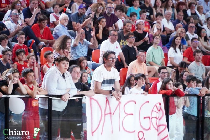 zvastobaskettermoli-46