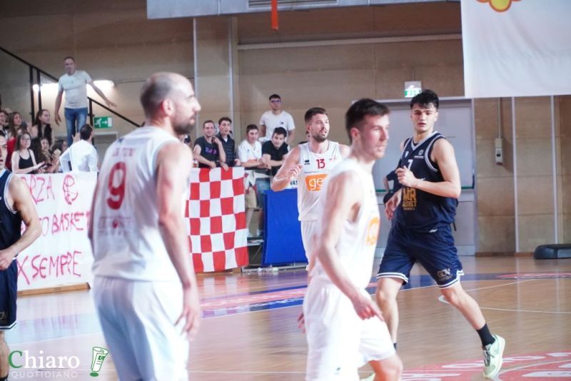 zvastobaskettermoli-50