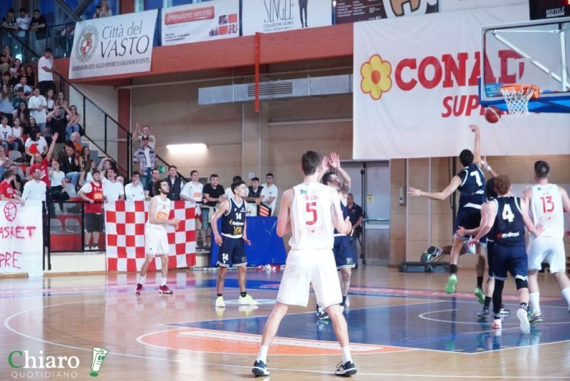 zvastobaskettermoli-52