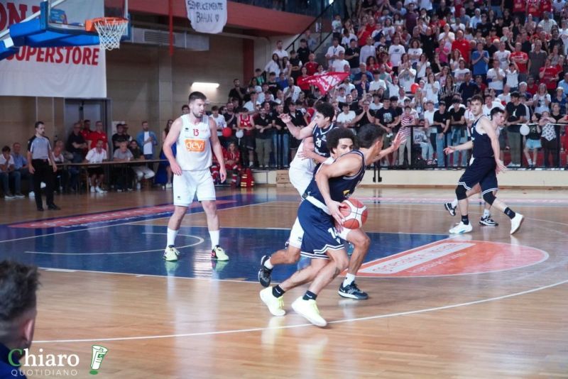 zvastobaskettermoli-53