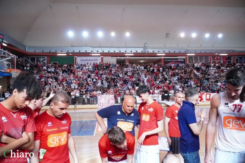 zvastobaskettermoli-56