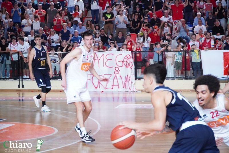 zvastobaskettermoli-60