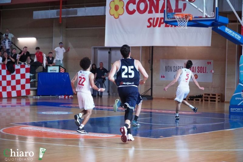 zvastobaskettermoli-61