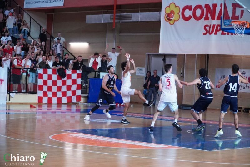 zvastobaskettermoli-62