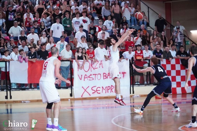 zvastobaskettermoli-64