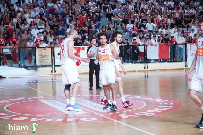 zvastobaskettermoli-69
