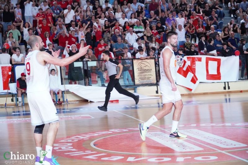 zvastobaskettermoli-70