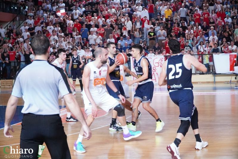 zvastobaskettermoli-71