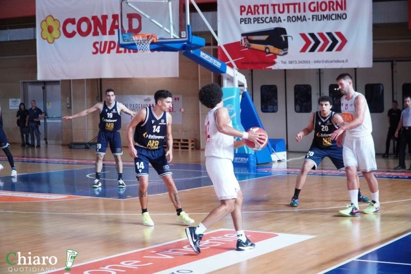 zvastobaskettermoli-73