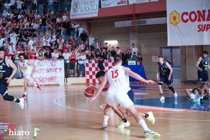 zvastobaskettermoli-74