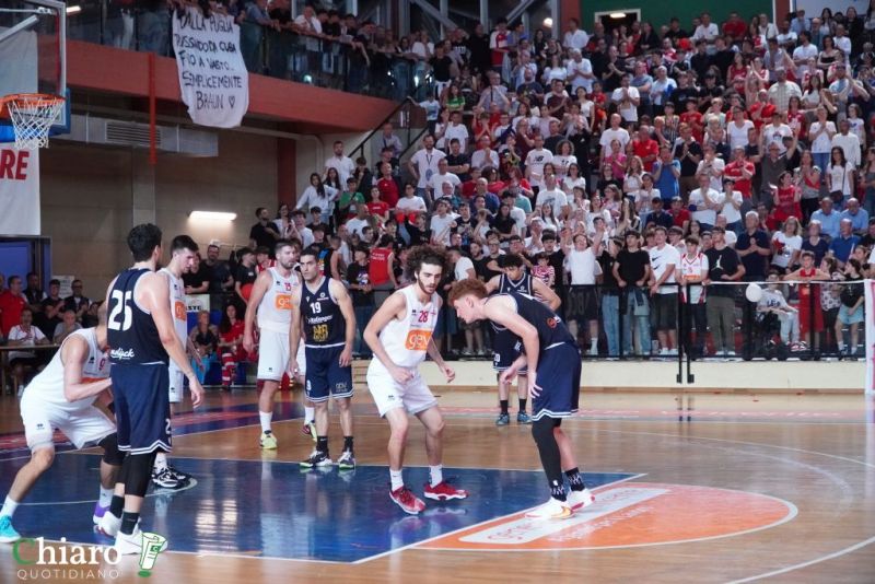 zvastobaskettermoli-75