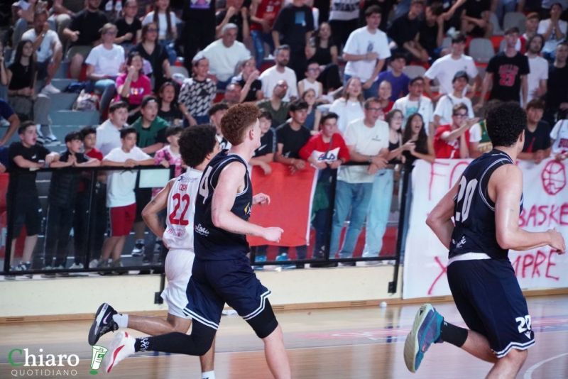 zvastobaskettermoli-76