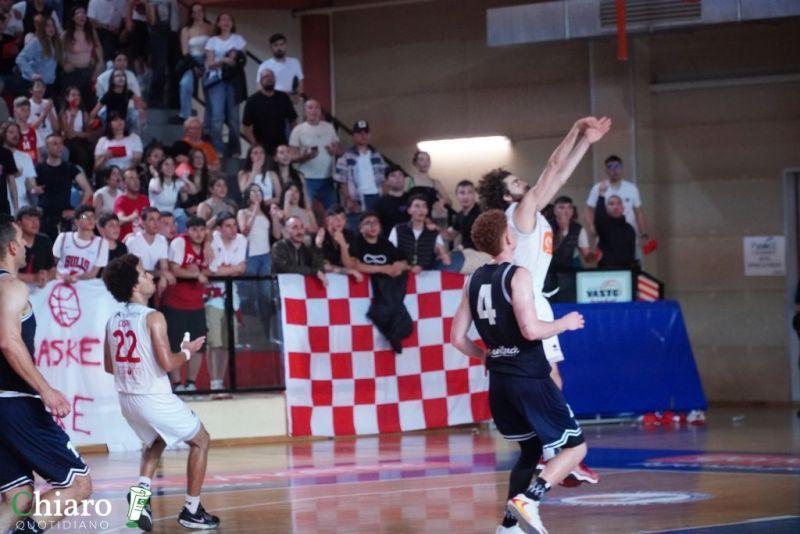 zvastobaskettermoli-77