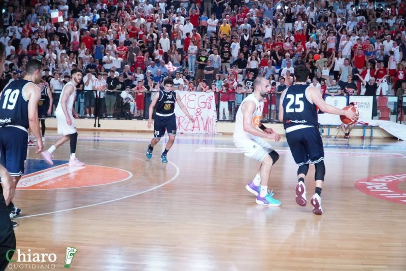 zvastobaskettermoli-83