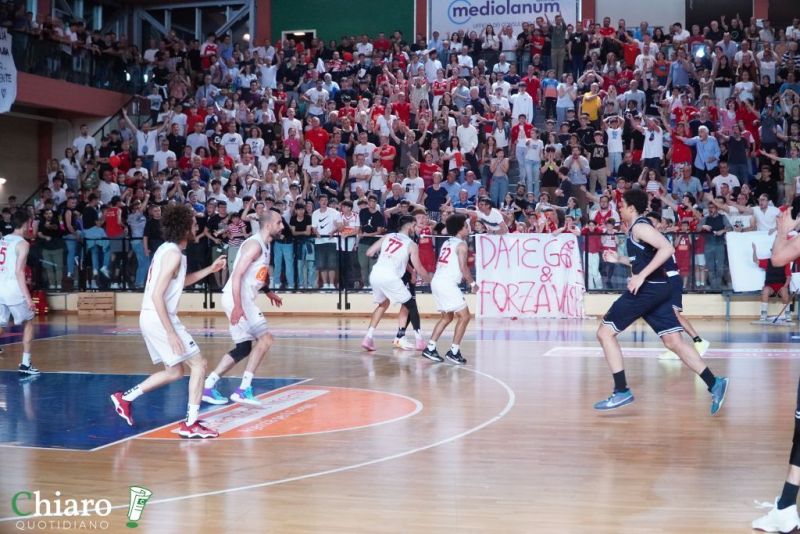zvastobaskettermoli-84