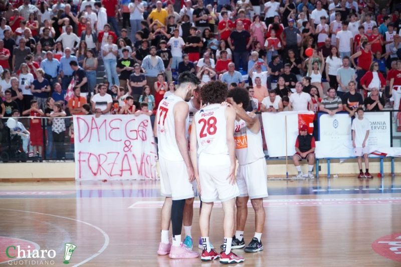 zvastobaskettermoli-85