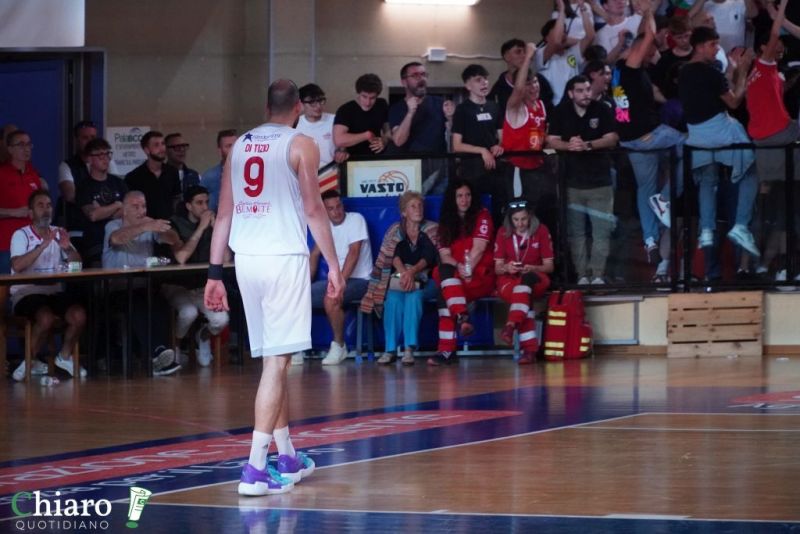 zvastobaskettermoli-87