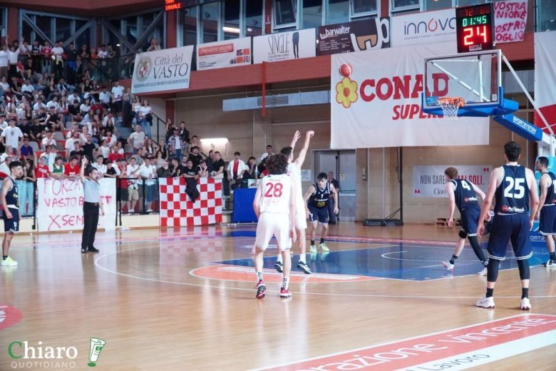 zvastobaskettermoli-88