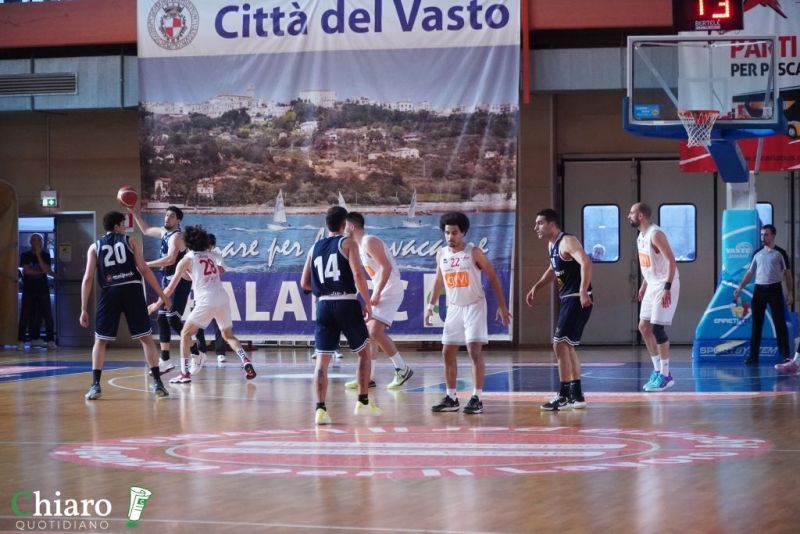 zvastobaskettermoli-9