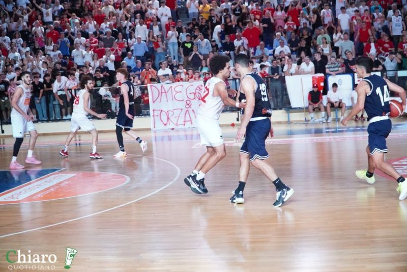 zvastobaskettermoli-90