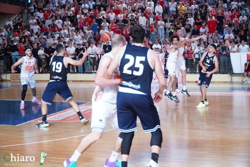 zvastobaskettermoli-91