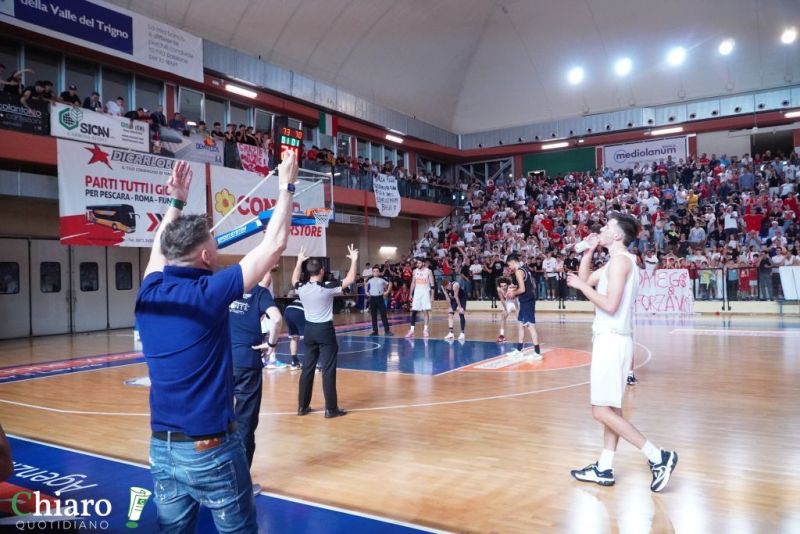 zvastobaskettermoli-94