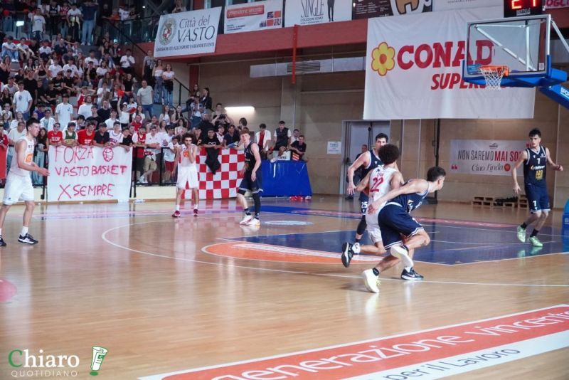 zvastobaskettermoli-95