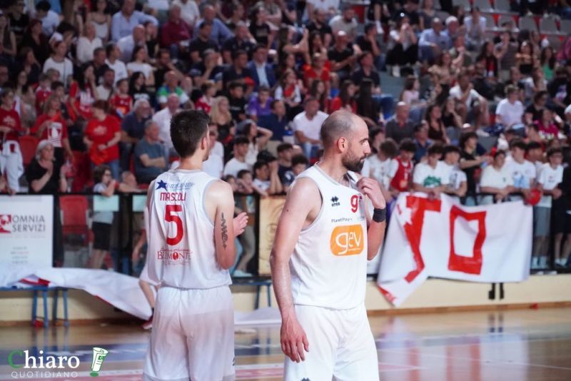 zvastobaskettermoli-96