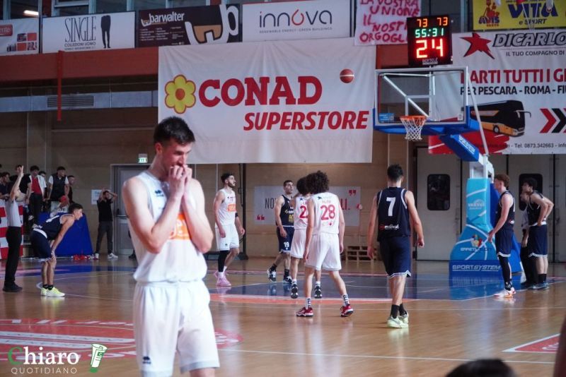 zvastobaskettermoli-97