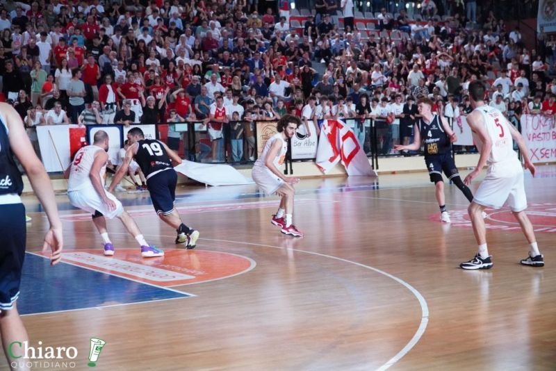 zvastobaskettermoli-98