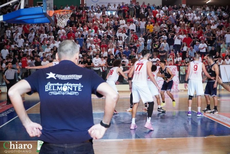 zvastobaskettermoli-99