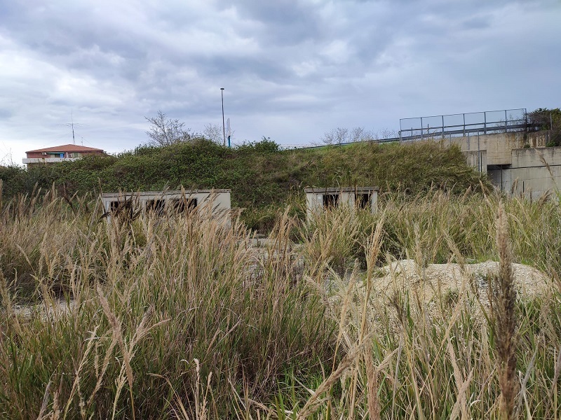 ex-cantiere-fioroni-2