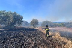 incendio-selvotta-24giu2026