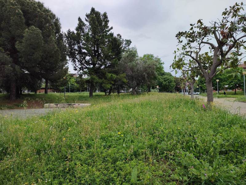 degrado-quartiere-san-paolo-3