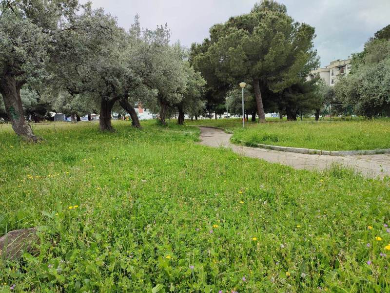 degrado-quartiere-san-paolo-5