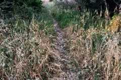 Via-Grecale-4