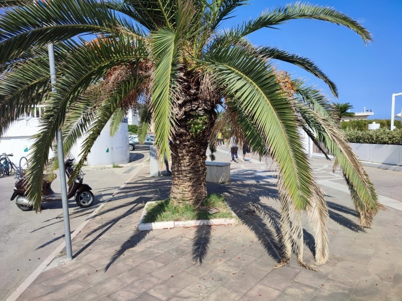lungomare-18