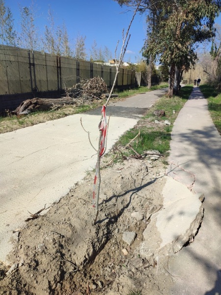 pista-ciclabile-dissestata-vasto-marina-7