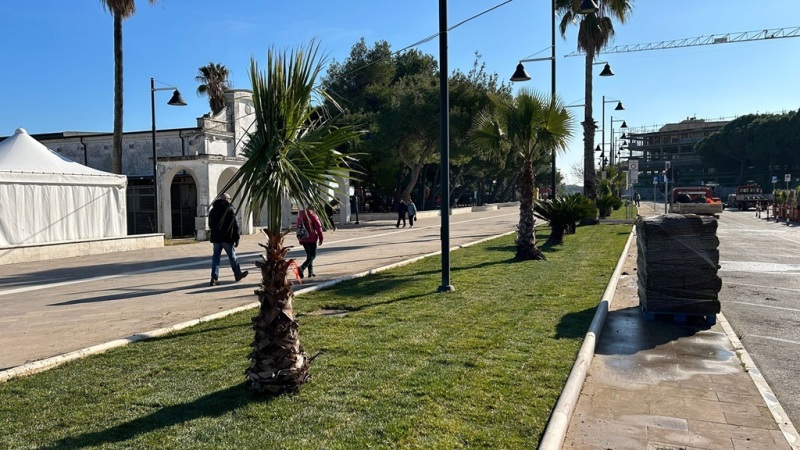 prato-lungomare-cordella