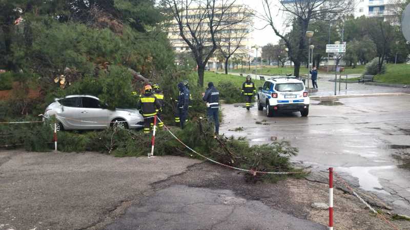 albero-caduto-167-vasto-2