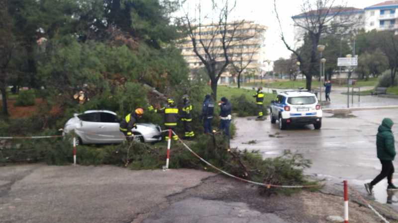 albero-caduto-167-vasto-3