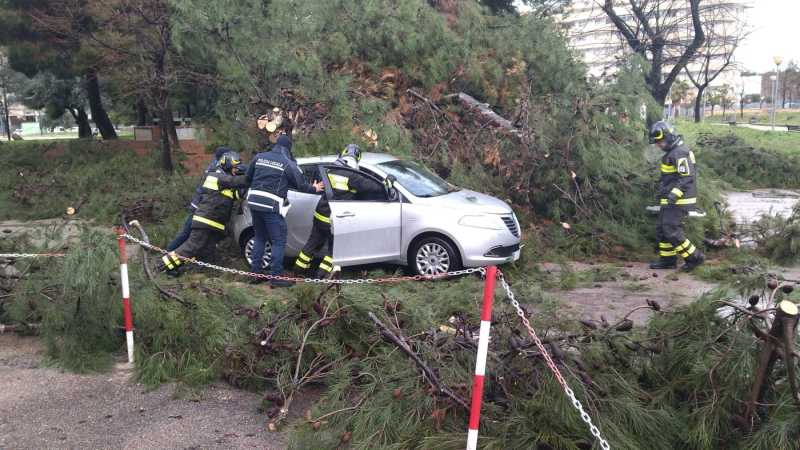 albero-caduto-167-vasto-9