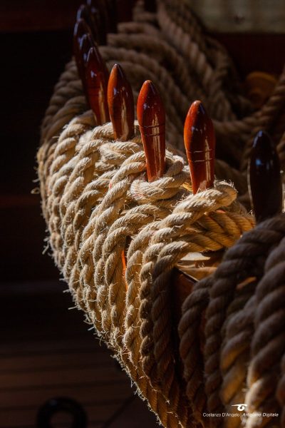 Amerigo-Vespucci-22
