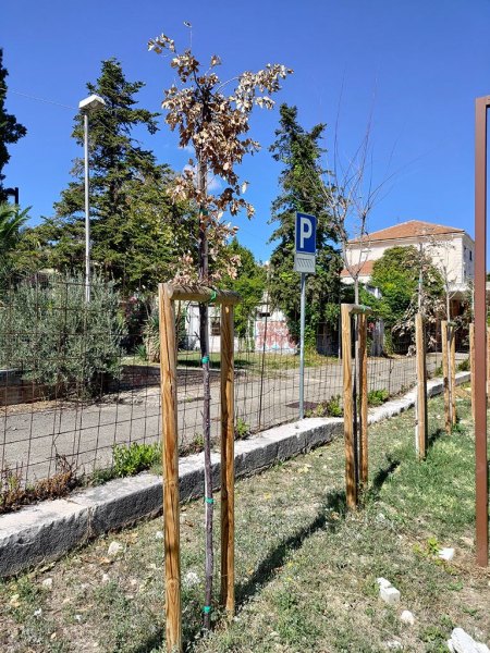 Vasto, la Via Verde